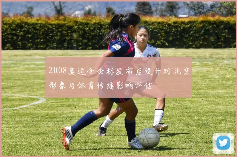 2008奥运会会标发布后设计对北京形象与体育传播影响评估